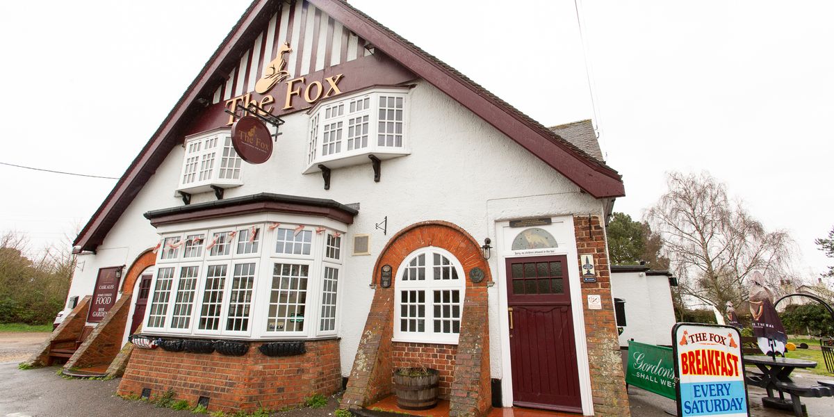 The Fox