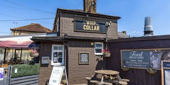 Whip & Collar