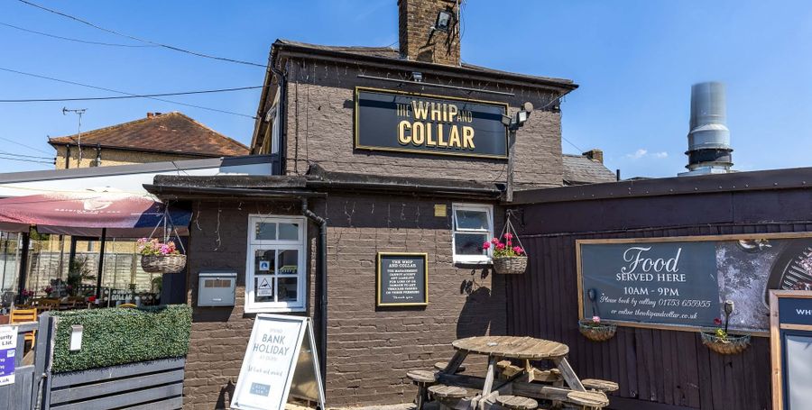 Whip & Collar