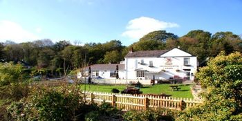 Ynyscedwyn Arms