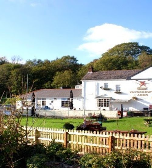 Ynyscedwyn Arms