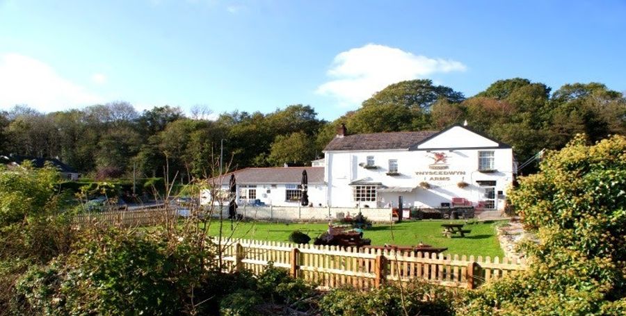 Ynyscedwyn Arms