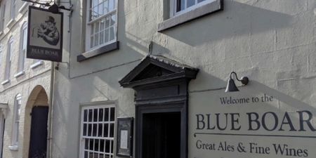 Blue Boar