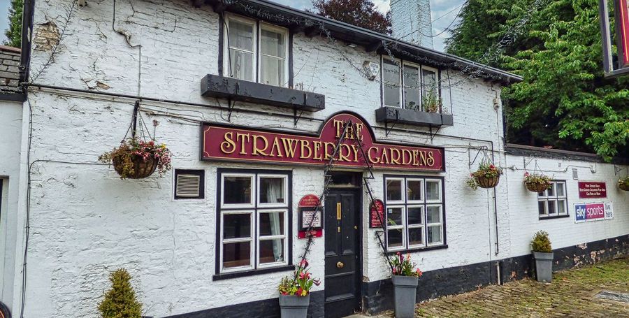 Strawberry Gardens