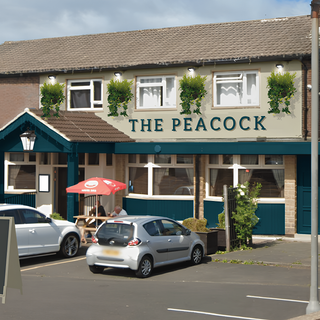 Peacock