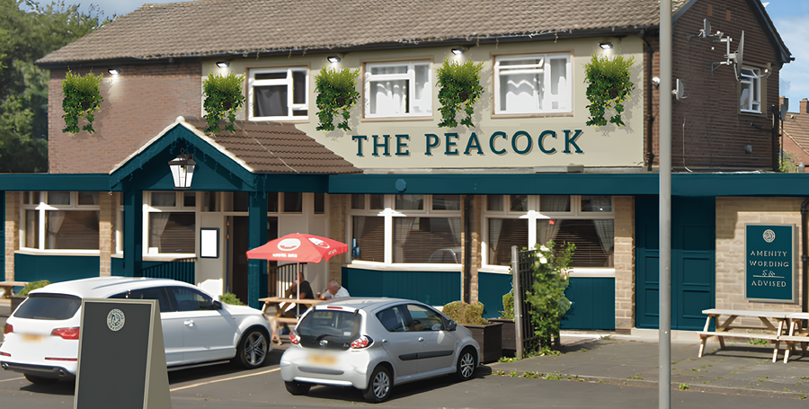 Peacock