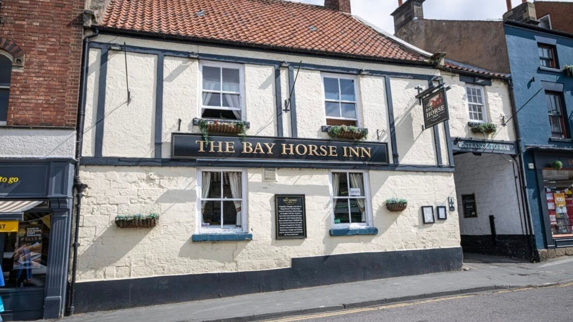 Bay Horse