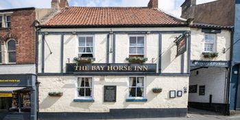 Bay Horse