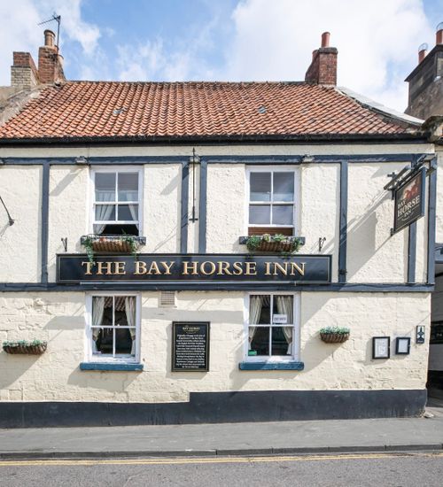 Bay Horse