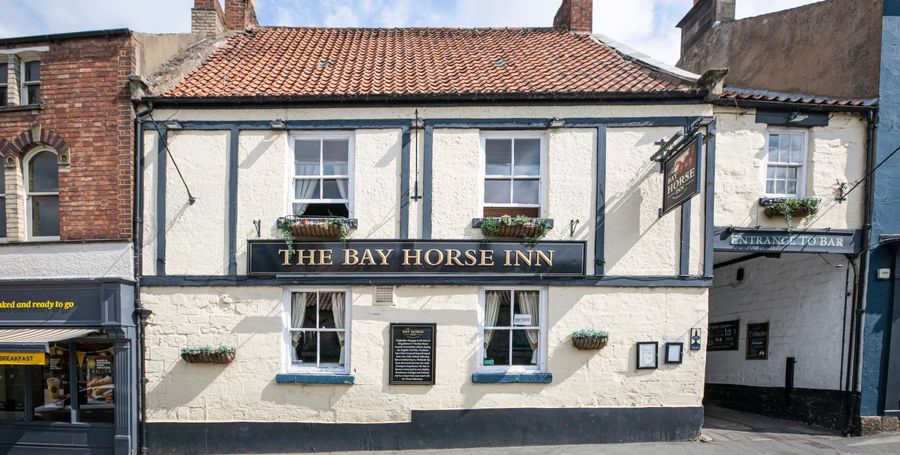 Bay Horse