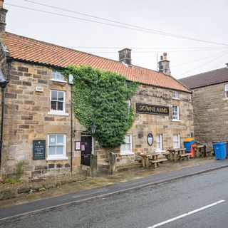 Downe Arms