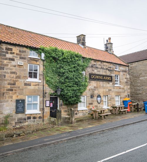 Downe Arms