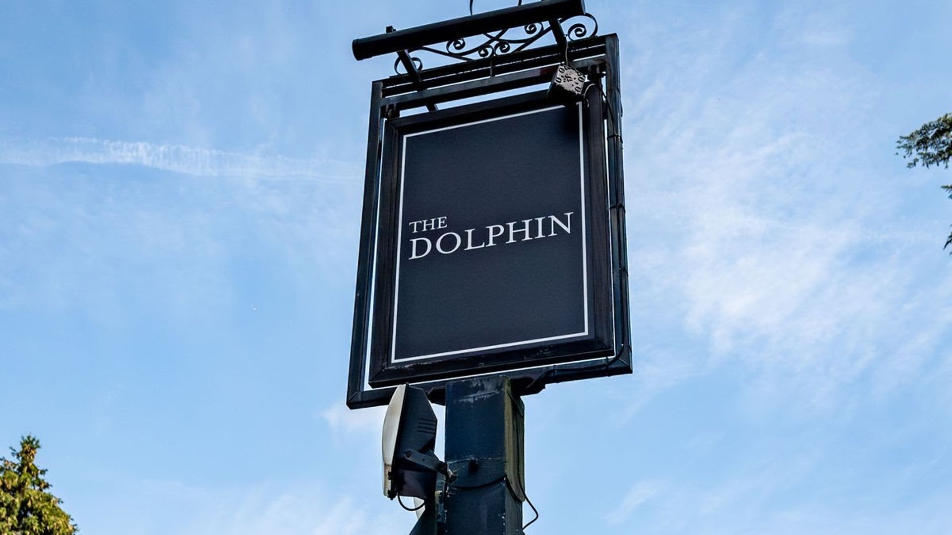 Dolphin