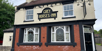 Grey Horse