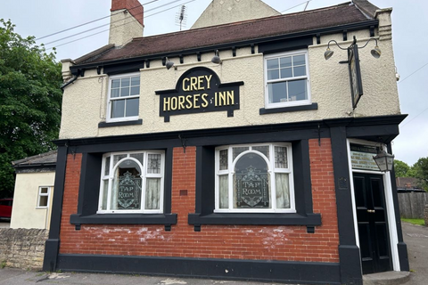 Grey Horse