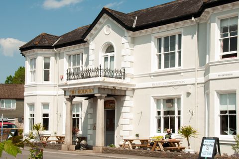 Dolphin Hotel