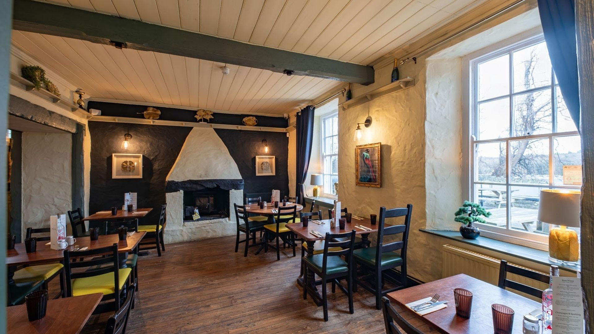 Pelican In Her Piety