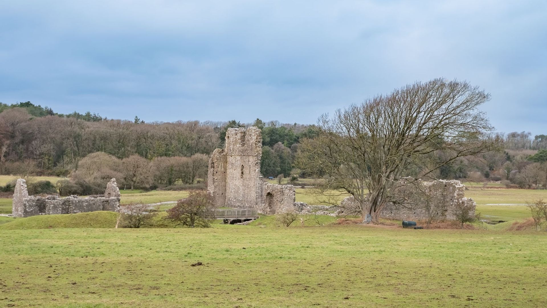Pelican In Her Piety