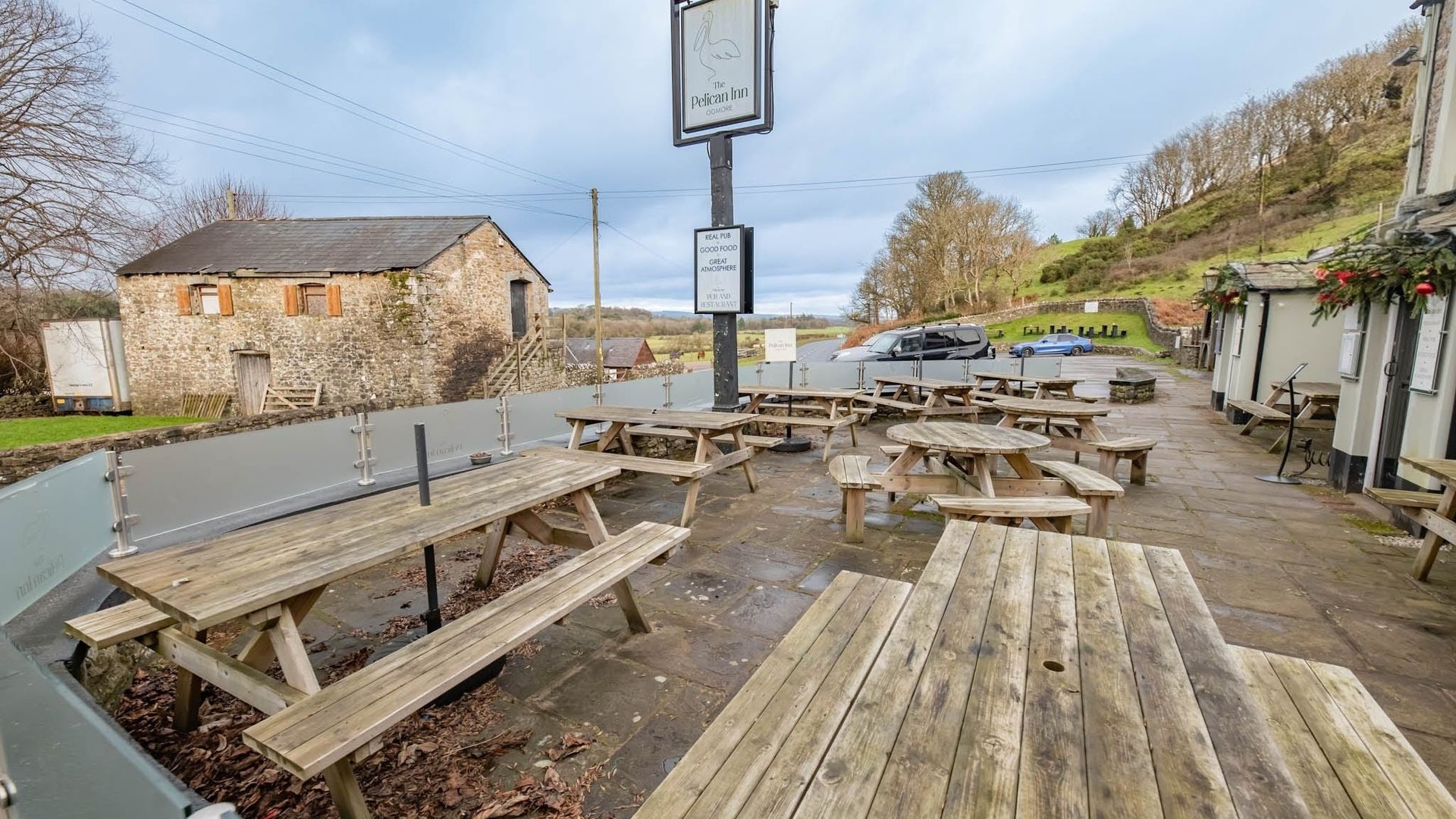 Pelican In Her Piety