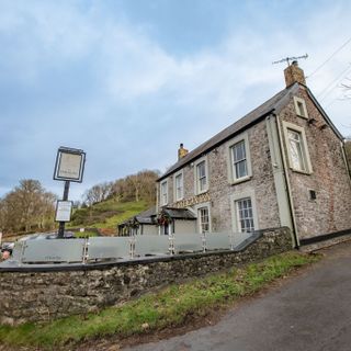 Pelican In Her Piety