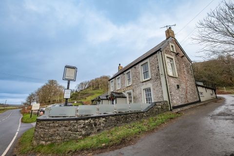 Pelican In Her Piety