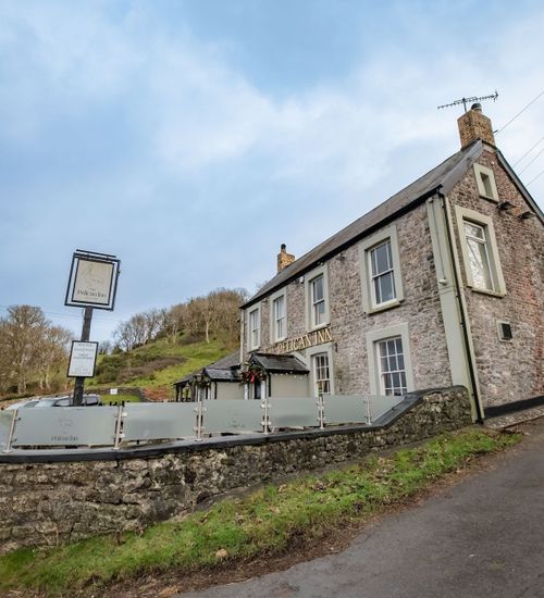 Pelican In Her Piety