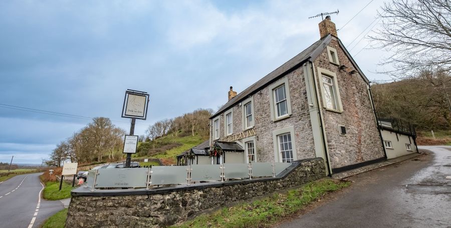 Pelican In Her Piety