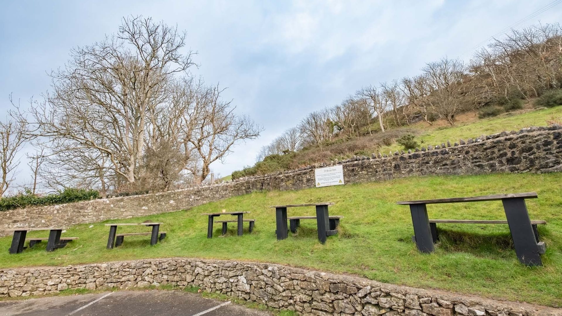 Pelican In Her Piety