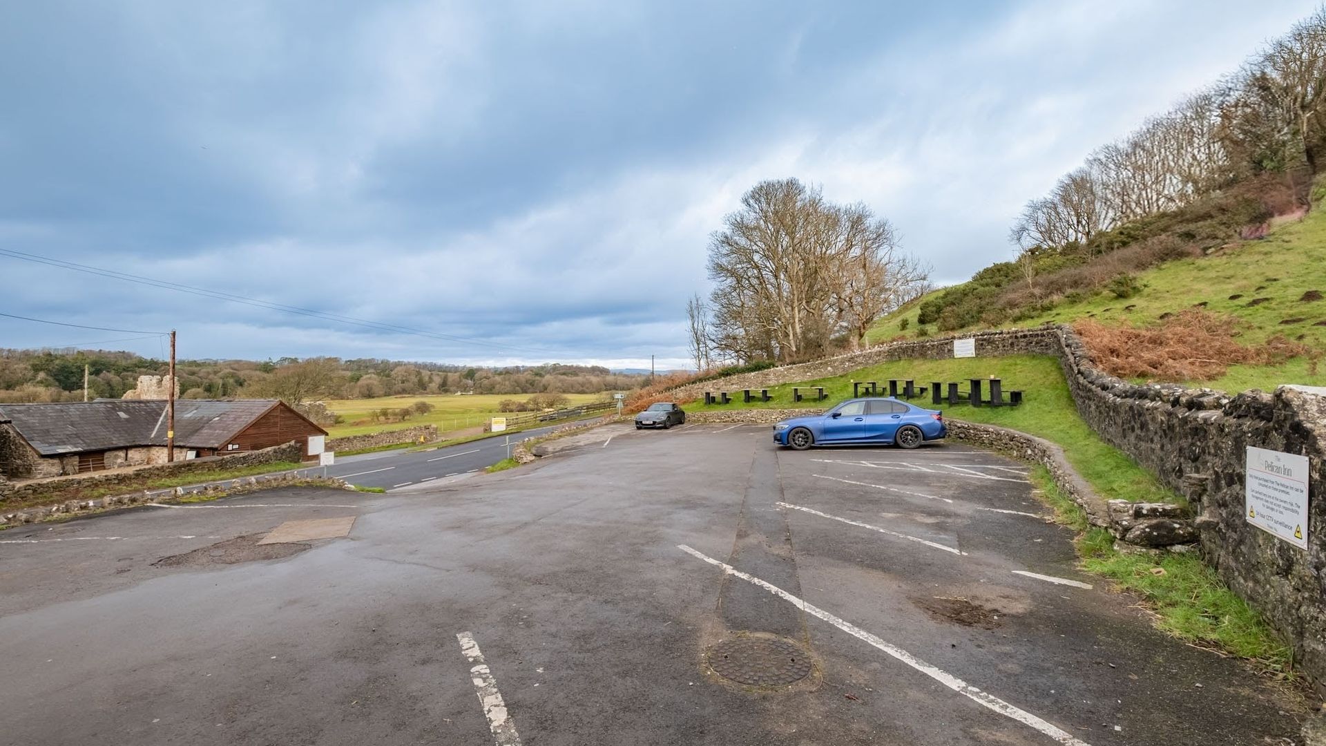 Pelican In Her Piety