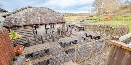 Pelican In Her Piety