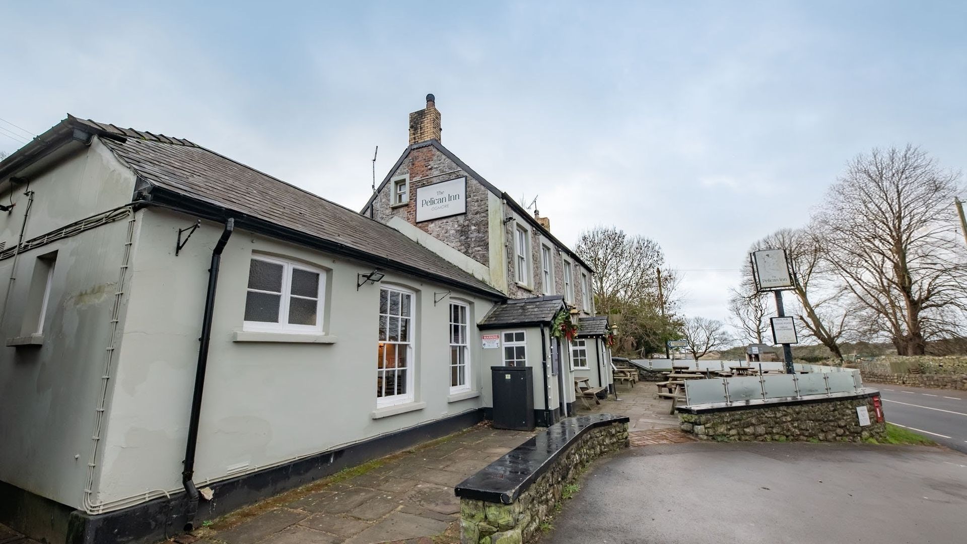 Pelican In Her Piety