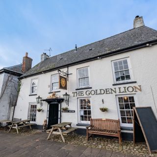 Golden Lion
