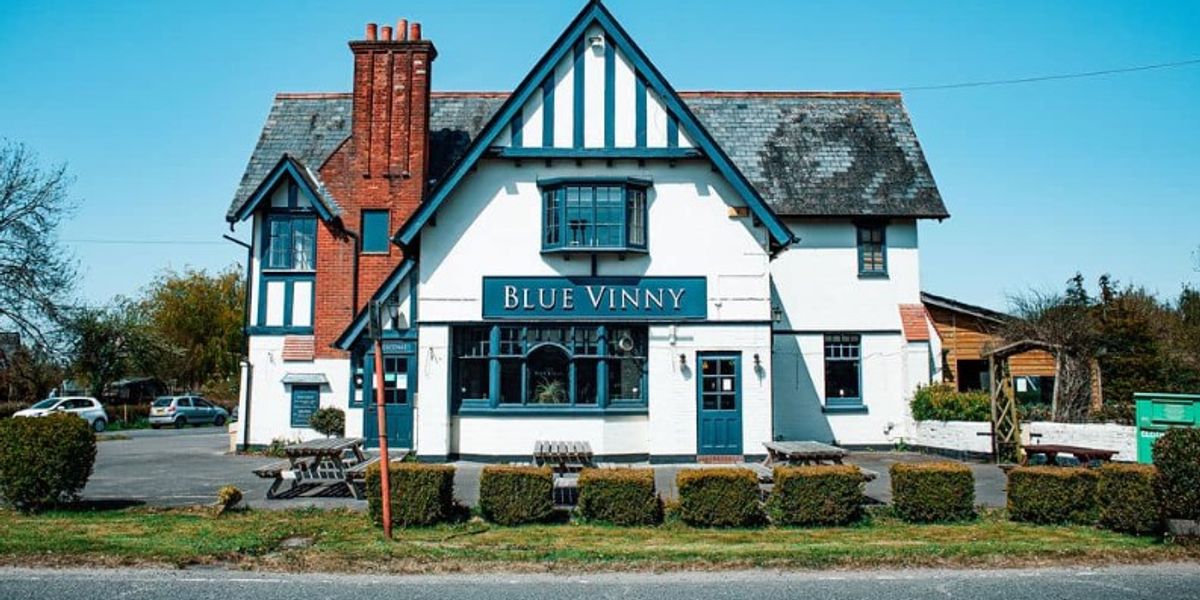 Blue Vinny