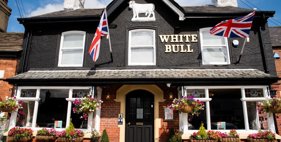 White Bull
