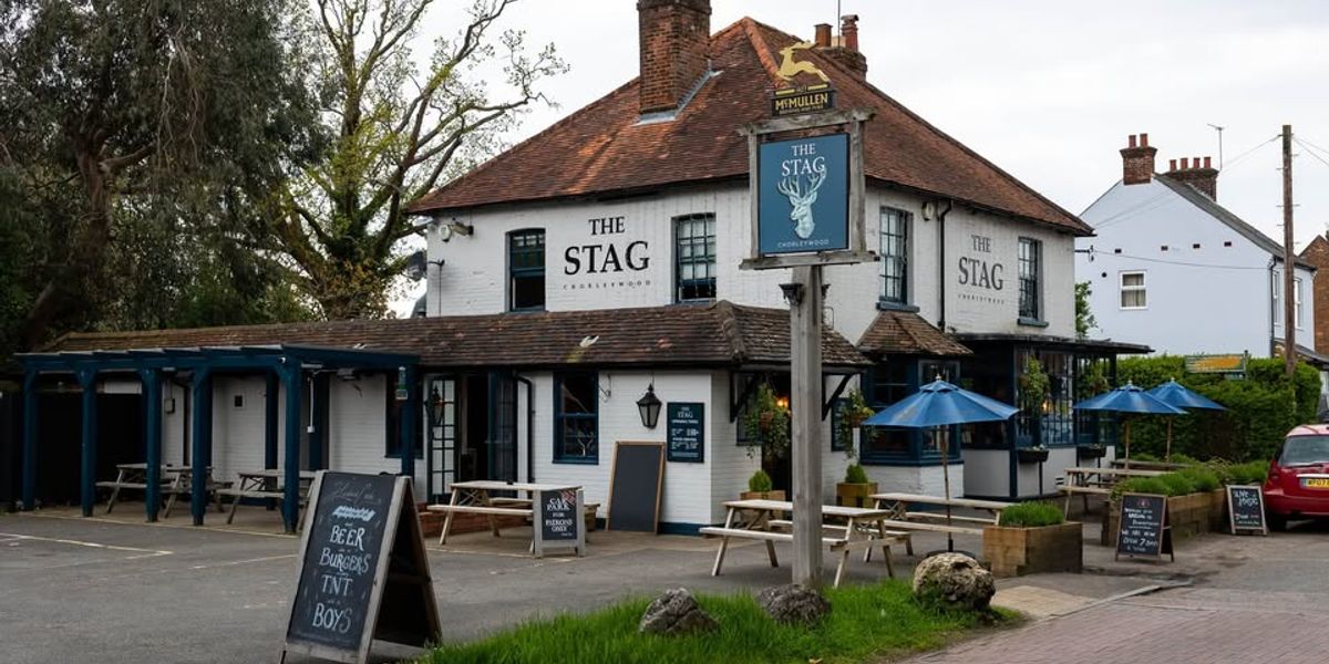Stag