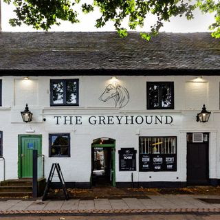 Greyhound