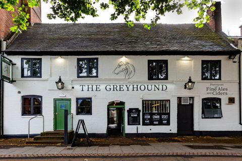 Greyhound