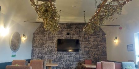 Hop Pole