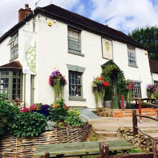 Hop Pole