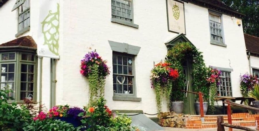 Hop Pole