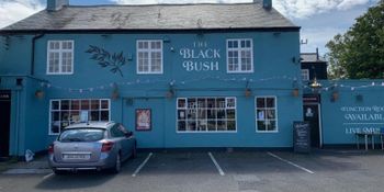 Black Bush