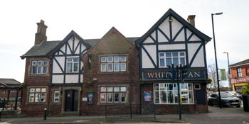 White Swan