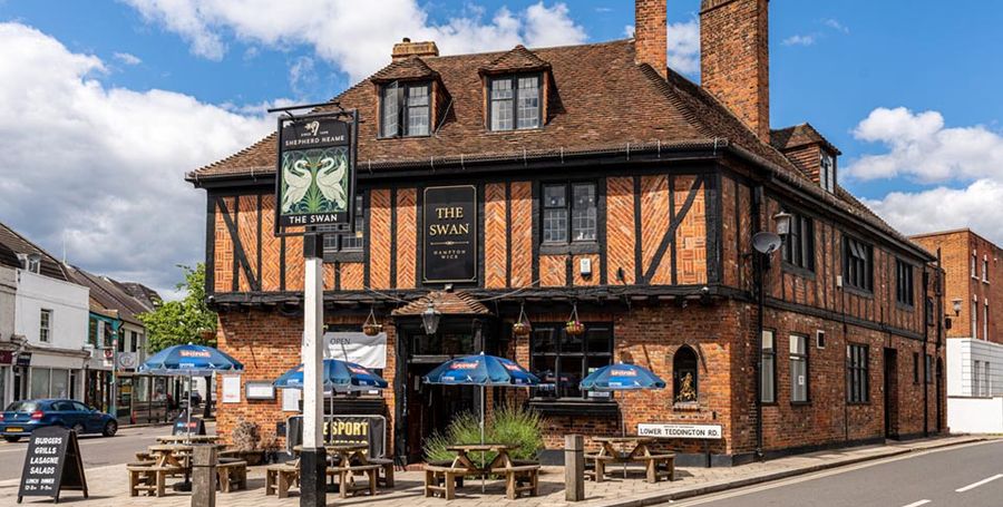 The Swan