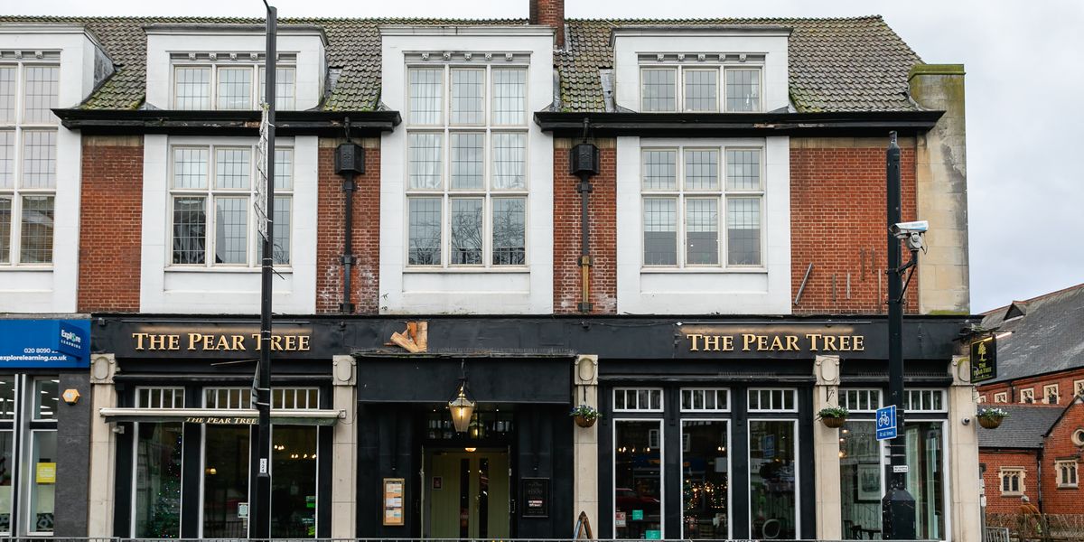 Pear Tree