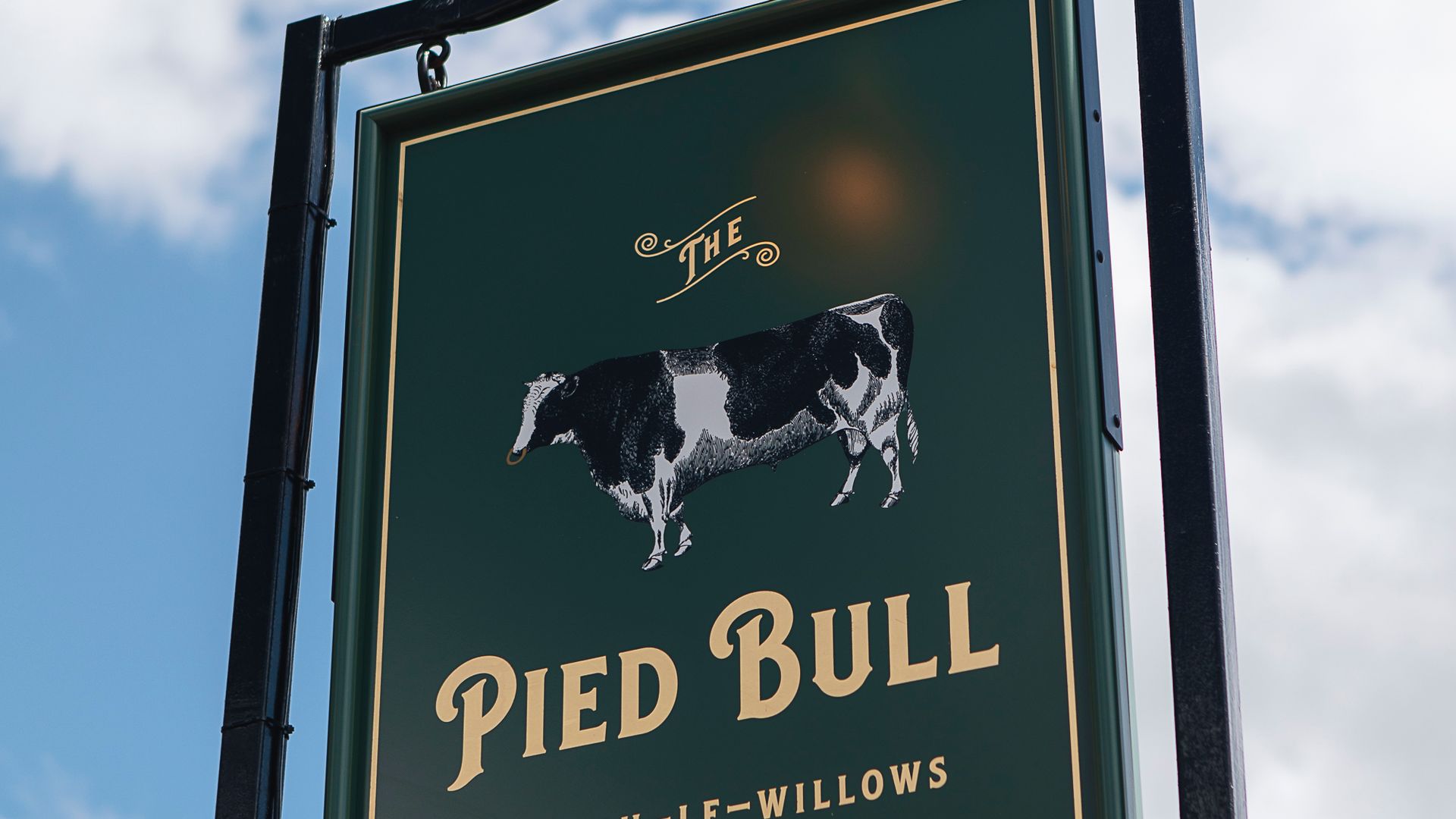 Pied Bull