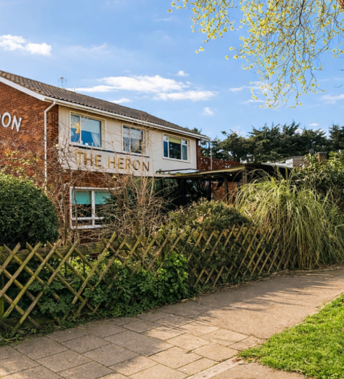 The Heron