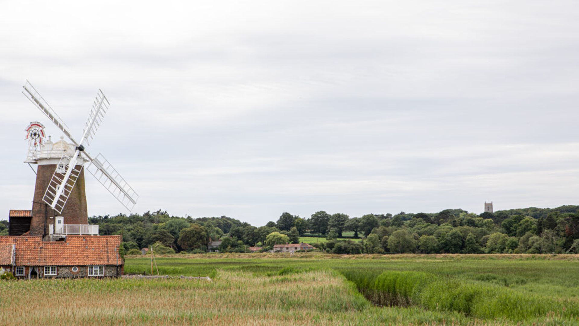 Three Swallows