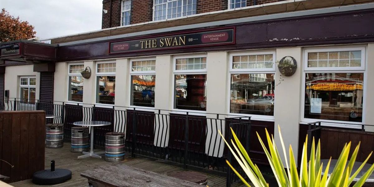 Swan