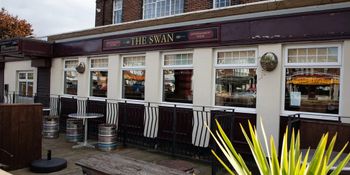 Swan