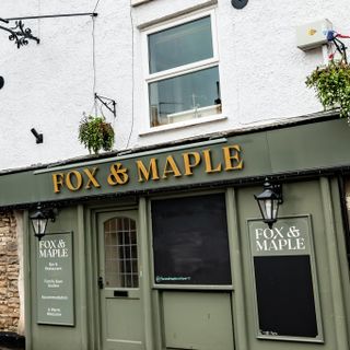 Fox & Maple